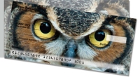 Click on Eyes of an Owl Side Tear Checks For More Details