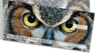 Eyes of an Owl  Checks