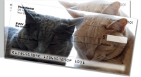 Click on Cat Nap Side Tear For More Details