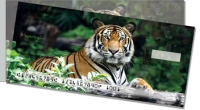 Click on Tiger For More Details
