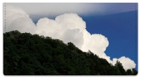 Click on Quiet Cloud Checkbook Cover For More Details