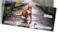 Click on Alley Cat Side Tear For More Details
