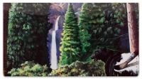 National Parks Checkbook Cover