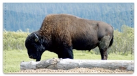 Click on American Bison Checkbook Cover For More Details