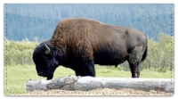 American Bison Checkbook Cover