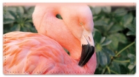 Click on Pink Flamingo Checkbook Cover For More Details