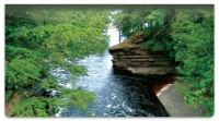 Peaceful River Checkbook Cover