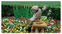 Click on Peaceful Garden Checkbook Cover For More Details