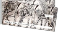 Kay Smith Zebra  Checks