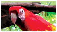 Click on Parrot Checkbook Cover For More Details