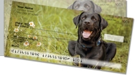 Black Lab  Personal Checks