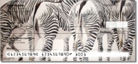 Kay Smith Zebra Checks