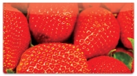 Click on Not-So Forbidden Fruit Checkbook Cover For More Details