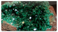 Click on Minerals from the Earth Checkbook Cover For More Details