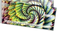 Click on Patterns of Nature Side Tear For More Details