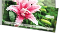 Click on Lily For More Details