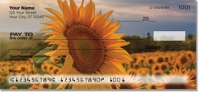 Click on Sunflower Checks For More Details