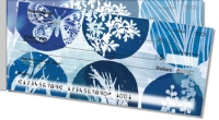 Click on Blue Butterfly Nightfall Side Tear For More Details