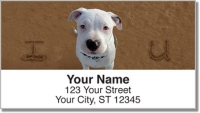 Click on Animal Sand Scribbles Address Labels For More Details