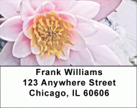 Click on Lotus Flower Labels For More Details