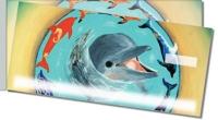 Click on Swimming Dolphin Side Tear For More Details