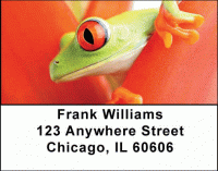 Click on Frogs Address Labels For More Details