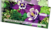 Click on Columbine Flower For More Details