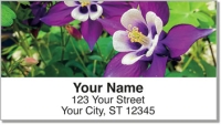 Click on Columbine Flower Address Labels For More Details