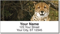 African Wildlife Address Labels