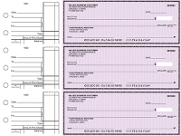 Click on Violet Safety Standard Business Checks For More Details