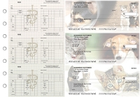 Veterinarian Multi-Purpose Counter Signature Business Checks