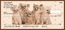 Click on Charming Chihuahuas  Checks For More Details