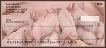 Click on Pig Checks For More Details