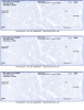 Click on Blue Marble 3 Per Page Laser Checks For More Details