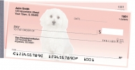 Click on Adorable Bichons For More Details