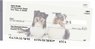 Click on Australian Shepherd  For More Details