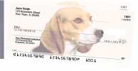 Click on Beagles For More Details