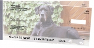 Click on Great Danes For More Details