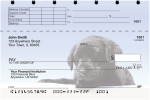 Click on Black Lab Puppies Top Stub Checks For More Details