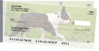 Click on Boston Terrier For More Details