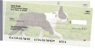 Click on Boston Terrier  For More Details