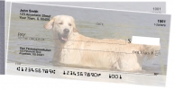 Click on Golden Retriever For More Details