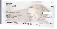 Click on Sleepy Kittens Side Tear For More Details