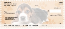 Beagle Pups Keith Kimberlin  Personal Checks