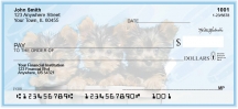 Yorkie Pups Keith Kimberlin  Personal Checks