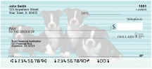 Boston Terrier Pups Keith Kimberlin  Personal Checks