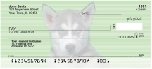 Husky Pups Keith Kimberlin