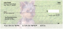 Click on Yorkies  Checks For More Details