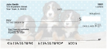 Click on Bernese Mountain Dog Pups Keith Kimberlin Checks For More Details