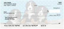 Bernese Mountain Dog Pups Keith Kimberlin